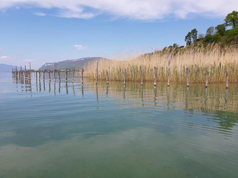 Le Lamartine, Vue Magnifique Face Au Lac Du Bourget Aix-les-Bains Esterno foto